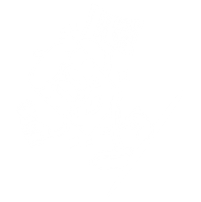 Fabricante de kebab de cerdo loncheado